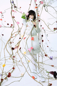 水泄不通金银花露(くろれ)全本