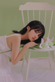 明星专题：倪萍